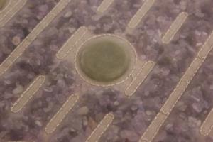 Kasur pemanas terapi lampu merah penggunaan kantor alas terapi biophone - Product Image 4