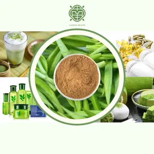 Extracto de Camellia Sinensis Natural orgánico Nanqiao con polifenol de té 50% 60% extracto de té verde para aliviar el calor del verano