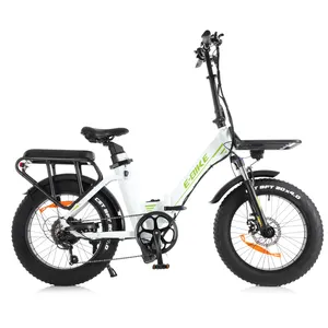2024 Hot Sale Cargo Ebike 750w Fat Wheel Electric Bike Perfect For Family And Commuting