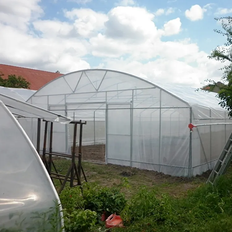10*30m Single-span Cheap Galvanized Frame Greenhouse Tunnels Poly House Agriculture Greenhouse For Outdoor