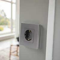 Prises murales électriques simples 16A en plastique EU Bingoelec en gros pour usage domestique avec compatibilité réseau