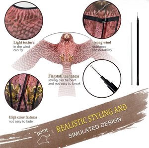 ว่าวไล่นกขายดี ไล่นกเหยี่ยว ไล่นกพิราบ ป้องกันพืชผลและฟาร์ม - Product Image 3