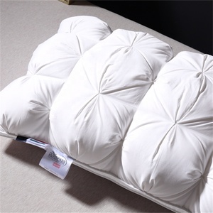 <span class=keywords><strong>Oreiller</strong></span> en <span class=keywords><strong>duvet</strong></span> d'oie 3D personnalisé en boîte, taille Queen/King, garnissage simple/triple couche, 50 MOQ, literie d'hôtel - Product Image 1