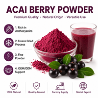 Extrait de fruit d'açaï soluble dans l'eau, pur et naturel, de qualité alimentaire, en poudre, issu de baies d'açaï, extrait par solvant