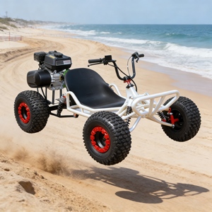 Buggy Monoplaza Resistente en Oferta, Equivalente a 250cc, Equivalente a <span class=keywords><strong>125cc</strong></span>, Compacto para Carreras Juveniles - Product Image 1