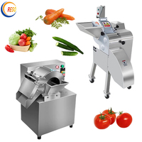 Elektrische Commerciële Snijmachine Voor Groenten En Fruit
