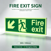 Panneau de sortie de secours photoluminescent personnalisé avec logo, 300x100mm, flèche vers le bas, étiquette de sécurité, plastique rigide, évacuation de bâtiment, OEM Zm