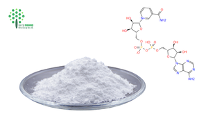 Poudre de NAD+ de qualité alimentaire, <span class=keywords><strong>Beta</strong></span> Nicotinamide Adénine Dinucléotide, 99%, en vrac, CAS 53-84-9 - Product Image 4
