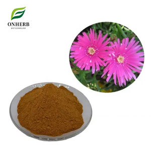 Extracto de Mesembrianthemum Kanna Natural Premium de Fábrica, Extracto de <span class=keywords><strong>Lampranthus</strong></span> Tenuifolius en Polvo al 99% - Product Image 1