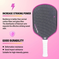 Raquette de pickleball Professor Titanium Pro Aero, 5ème génération, noyau pressé à chaud, fibre de carbone brute PhD, approuvée par USA Pickleball