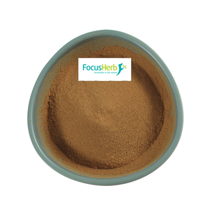 FocusHerb - Extracto Herbal de Grado Alimenticio en Oferta, Yerba Mate en Polvo 10:1 - Product Image 2