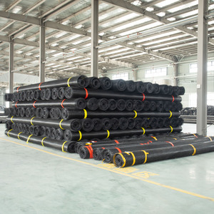 <span class=keywords><strong>PP</strong></span> hai chiều căng nhựa <span class=keywords><strong>geogrid</strong></span> - Product Image 4