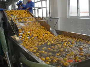 Ligne de traitement de jus d'agrumes de fruits concentrés Machine d'emballage de jus de fruits automatique personnalisée Petite usine de jus de fruits 1000