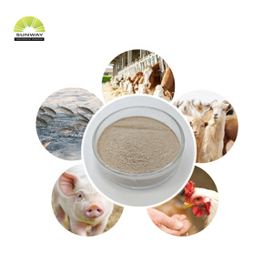 Enzima xilanasi per l'alimentazione animale | Per uso alimentare xilanasi al prezzo competitivo della xilanasi - Product Image 3