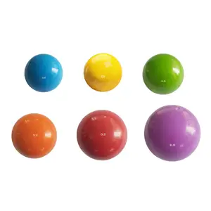 High quality eco-friendly PVC fitness soft Weighted Mini Ball practice lifting Sand Filled ball training Medicine Ball