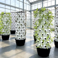 Tour d'ananas hydroponique, système hydroponique vertical automatique