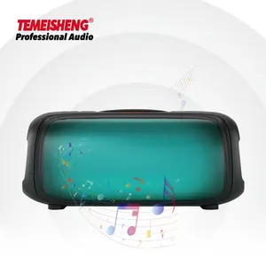Temeisheng Dual 6 Inch UltraBass Boost 40W portable Flame light Audiomaster wireless BT party karaoke outdoor speaker