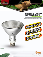 Lampe pour reptiles aux halogénures métalliques Par30, UVA UVB, spectre complet, lumière de basking