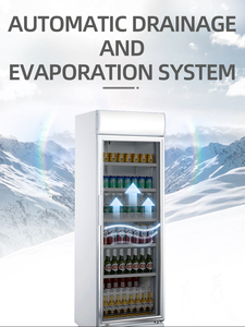 Présentoir vertical pour boissons Dukers Réfrigérateur pour boissons énergisantes avec auvent Réfrigérateur pour boissons gazeuses et froides - Product Image 5