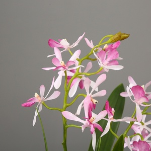 Orchidée Vanda artificielle en latex hautement recommandée, orchidée Vanda rose et blanche, fleurs artificielles pour la décoration de mariage et de la maison - Product Image 5