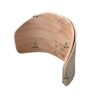 Chaise de salle à manger en contreplaqué courbé en eucalyptus, nouveau design, grossiste d'usine, chaise de salle à manger en contreplaqué courbé, cadre de chaise, dossier et pieds