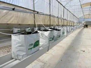 2023 New Arrival Agricultural Greenhouses Vertical Hydroponics PVC Tray Strawberry Growing Substrate Gutter With Stand