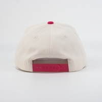 Unisex baseballcap 100% katoen handborduurwerk fruit tropische Europese en Amerikaanse stijl ODM groothandel