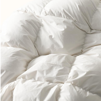Sortie d'usine hypoallergénique respirant blanc longue fibre couverture de remplissage couette en soie de mûrier