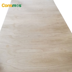 <span class=keywords><strong>Contreplaqué</strong></span> fin flexible de 3 mm à 15 mm, <span class=keywords><strong>contreplaqué</strong></span> pliable pour coffrages en béton - Product Image 6