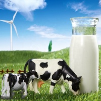 110v/220v électrique lait crème séparateur centrifuge Machine 80L/H acier inoxydable lait écumoire pour chèvres vache cheval fromage beurre
