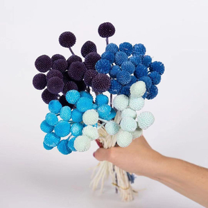 Arrangement de fleurs conservées Craspedia <span class=keywords><strong>rose</strong></span> bon marché et de haute qualité Fleurs décoratives pour la décoration de mariage à la maison - Product Image 5