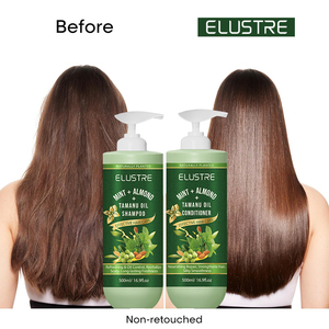 Shampoo crème à l'huile de tamanu, menthe et amande, à base de plantes, sans cruauté envers les animaux, OEM |   Soin réparateur et hydratant en profondeur du cuir chevelu pour cheveux secs et abîmés - Product Image 4