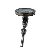 Digital Bimetal Pointer Temperature Sensor Thermometer Industrial Reactors Water Temperature 0-600C Stainless Steel OEM ODM