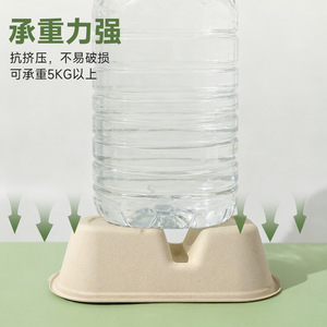 Boîte à lunch rectangulaire jetable en pulpe de canne à sucre biodégradable, résistante à l'eau et à l'huile, de qualité alimentaire, utilisable au micro-ondes - Product Image 4