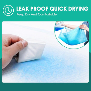 Tappetini Assorbenti per Addestramento Cani 60X90cm, Usa e Getta, con Certificato Reach, Vendita all'Ingrosso - Product Image 4