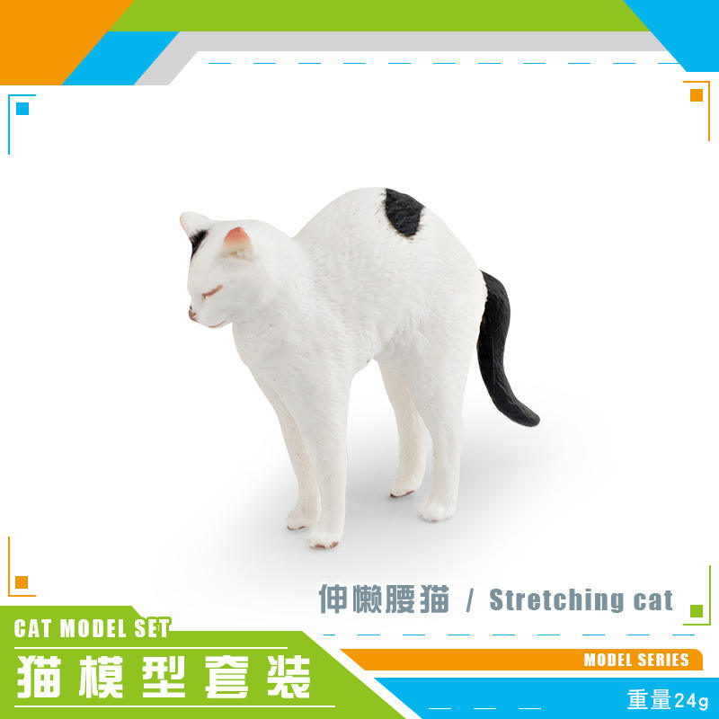 แมวยืด PL127-3104 24G