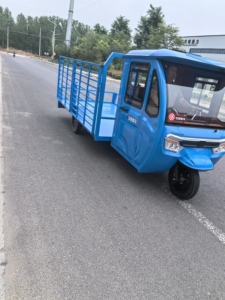 Véhicule électrique à trois roues en promotion : <span class=keywords><strong>Tricycle</strong></span> cargo avec cabine conducteur et capacité de charge de 600 kg - Product Image 3