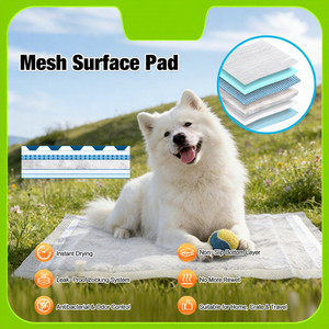 Alfombrilla desechable de malla para orina de mascotas y entrenamiento de cachorros, pañal japonés para perros - Product Image 1