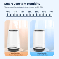 Humidificateur ultrasonique à brume chaude, diffuseur d'arômes, système de purification de l'eau à haute température avec lumière LED pour chambre à coucher