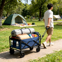 Chariot de camping pliable robuste, capacité 80 kg, chariot utilitaire pliable, mobilier d'extérieur portable pour la plage, le jardin et le shopping