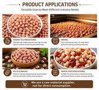 Arachides brutes en gros, noyaux d'arachides naturels, fournisseur en vrac pour la transformation alimentaire, fournisseur OEM en gros de Chine