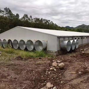 Kiểm Soát Đổ Gia Cầm Farming Pakistan/Kiểm Soát Đổ Gia Cầm Trong Pakistan - Product Image 5