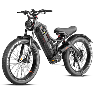 จักรยานไฟฟ้าแบบสปอร์ต US Warehouse Fast Sport Ebike โครงเหล็ก ยางใหญ่ ขับเคลื่อนสองมอเตอร์  จักรยานวิบากไฟฟ้า 250W แบตเตอรี่ลิเธียม 48V 60AH Romeo US Warehouse - Product Image 1