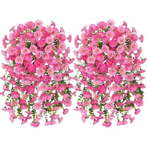 Vigne de rose grimpante décorative 'English Arizona Arch' pour 'Seven Together', 'Lilac Mini' <span class=keywords><strong>et</strong></span> 'Vigne de rose grimpante noire' - Product Image 4