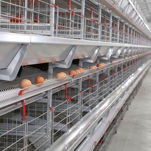 Cage à poulets automatique à 4 niveaux pour 50 000 poules pondeuses, cage à batterie galvanisée pour élevage avicole, à vendre <span class=keywords><strong>en</strong></span> Ouganda - Product Image 1