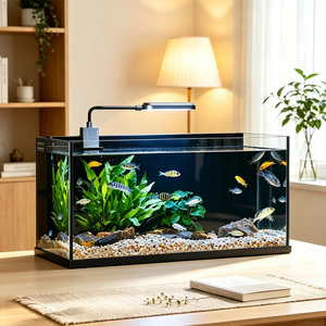 Acuario Pequeño Todo en Uno a <span class=keywords><strong>Precio</strong></span> de Mayoreo, con Filtro Silencioso Integrado y Luz COB de Alto CRI, Acuario de Vidrio Bajo en Hierro, Directo de Fábrica - Product Image 1
