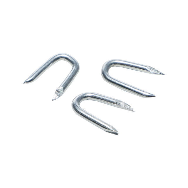 Best Choice Barbed U Shape Iron Wire Nail Common Diamond Sharp U Type Nail with Different Size