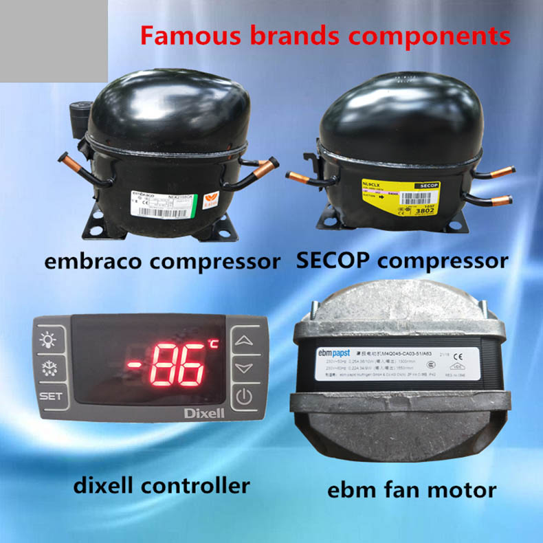 -60C degree low temperature freezer 480L chest deep freezer for biological samples used in university and institutes