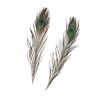 Éventail en plumes fait main, artisanat DIY, décorations de fête, plumes de paon naturelles, vente en gros, directement de l'usine chinoise, marque Moyang, Zhejiang