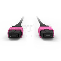 Armored MPO 24 Fiber Optic Cable OM4 Multimode 16Fiber Jumper Cord 10G/25G Backbone 400G/800G SR8 PC/APC 5G Data Center